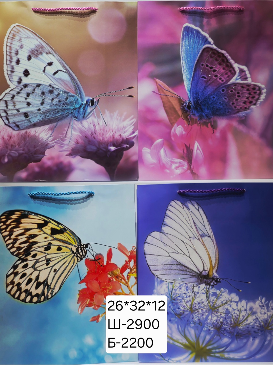 уут эрвээхэй