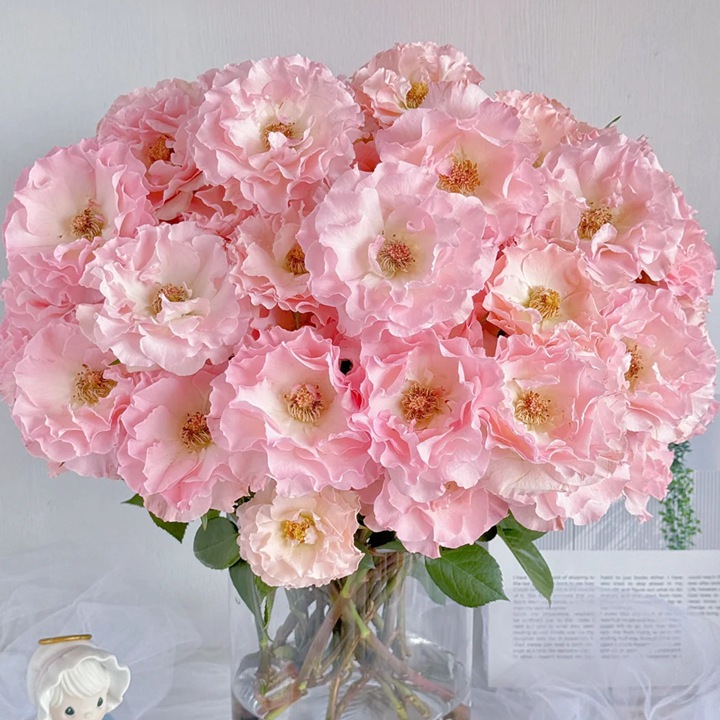 Mermaid princess rose