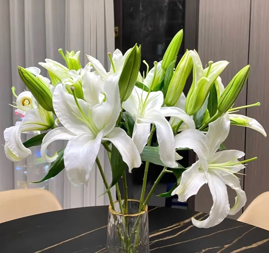 White lily-Multi heads