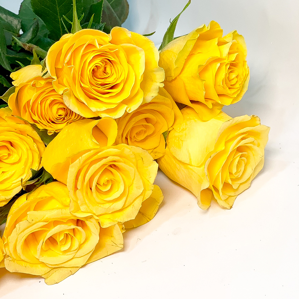 Yellow rose