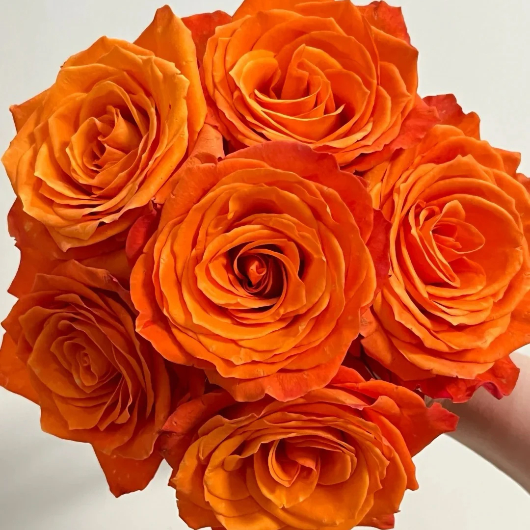 king's day