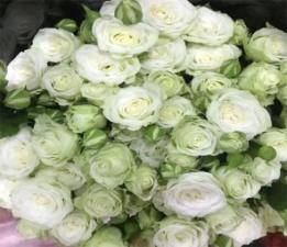 白泡泡 White bubble