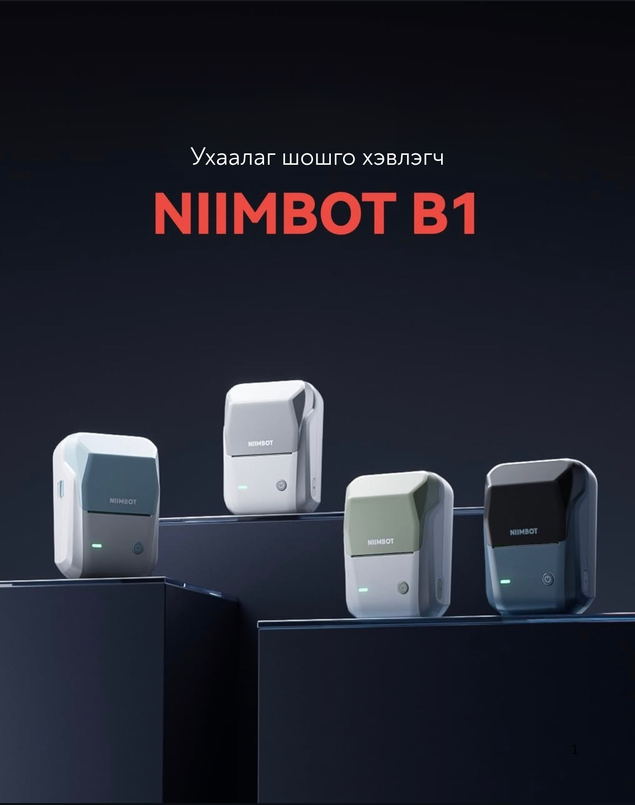 NIIMBOT B1